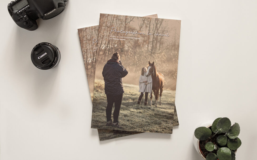 Cours de Photographie Équine