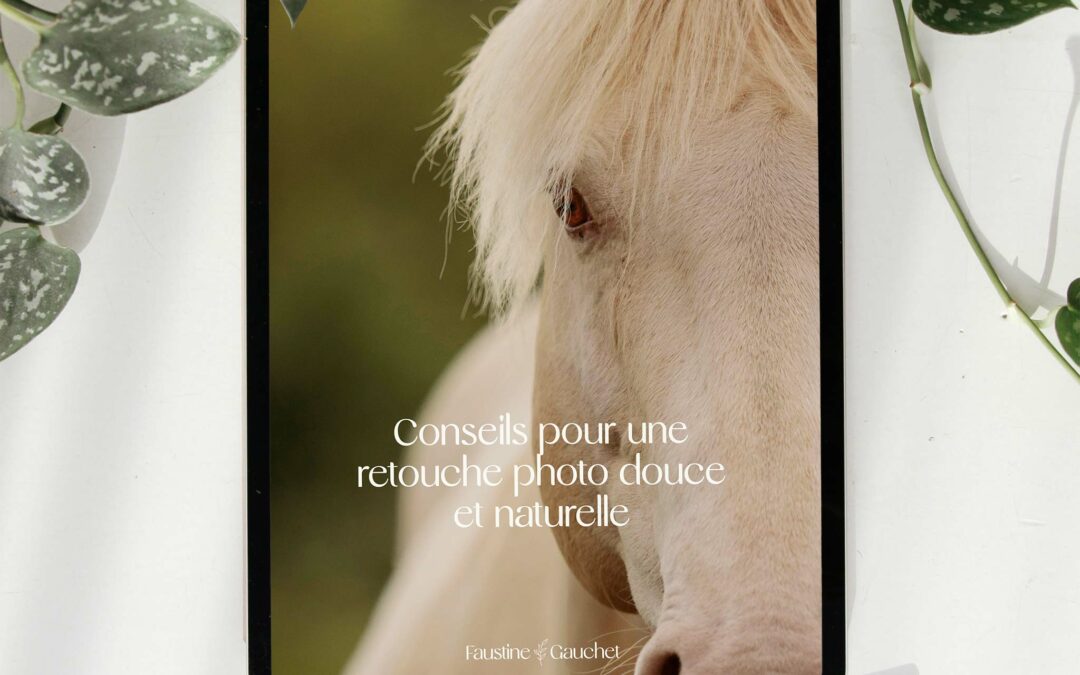 Guide de retouche photo