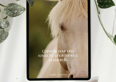 Guide de retouche photo